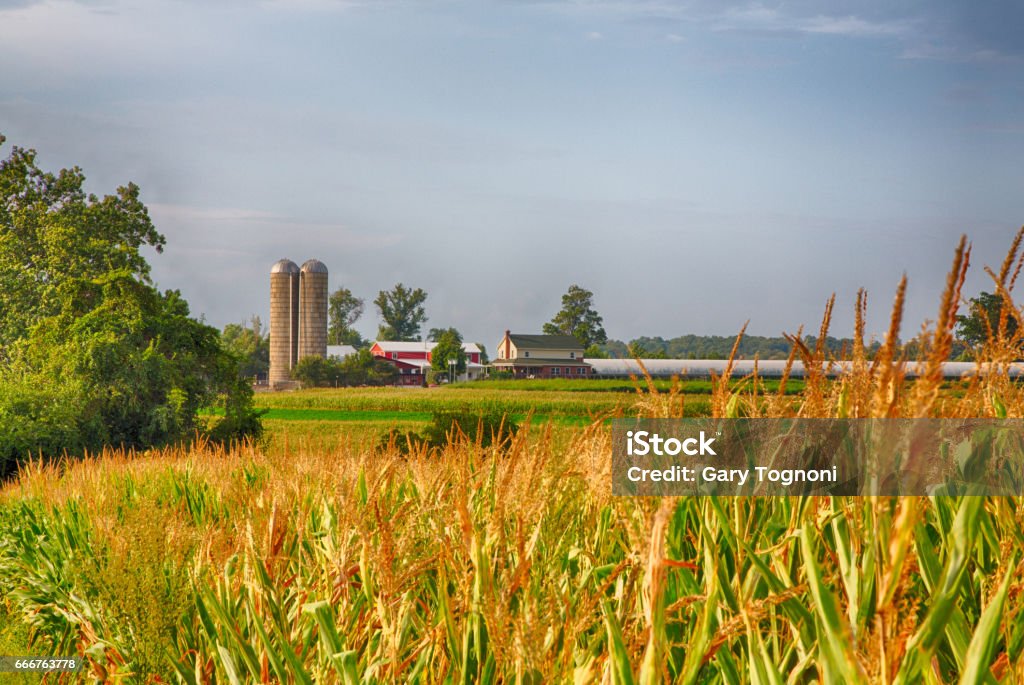 Amish Country Farms in Amish Country Lancaster, Pennsylvania during the harvest. Pennsylvania Stock Photo