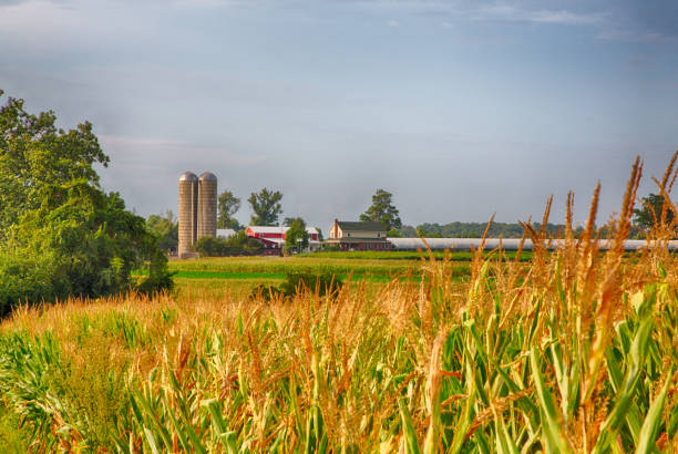 Amish Country stock photo