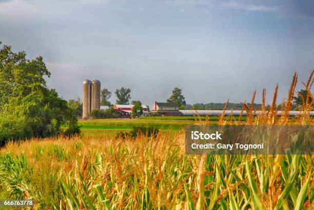 Amish Country Stock Photo - Download Image Now - Pennsylvania, Lancaster County - Pennsylvania, Amish