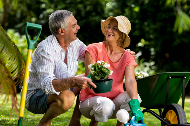 istock Senior couple holding flower pot in yard 666763918