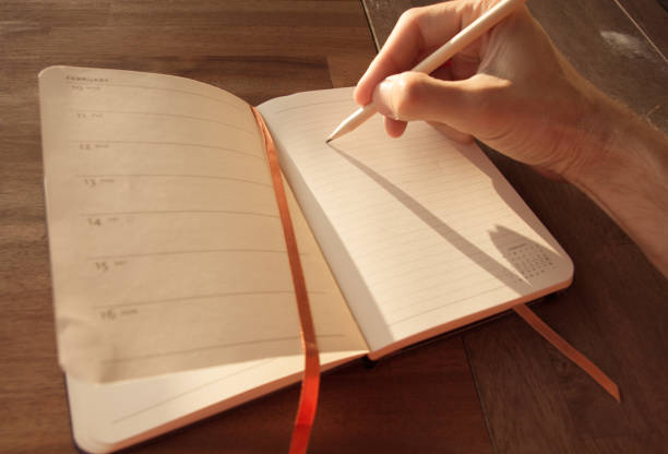 istock Mans hand writing in an agenda in the sun 666766858