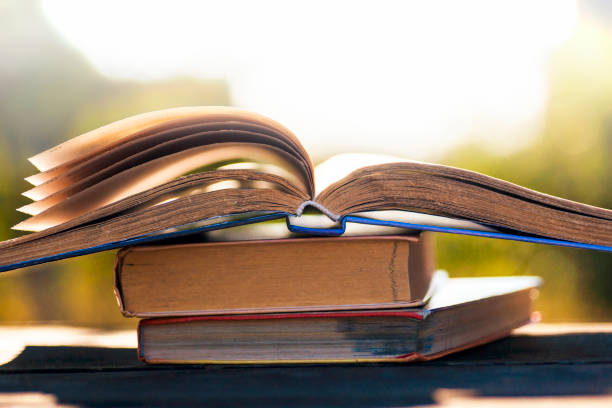 istock Open book on wooden table on natural background. Soft focus 666775722