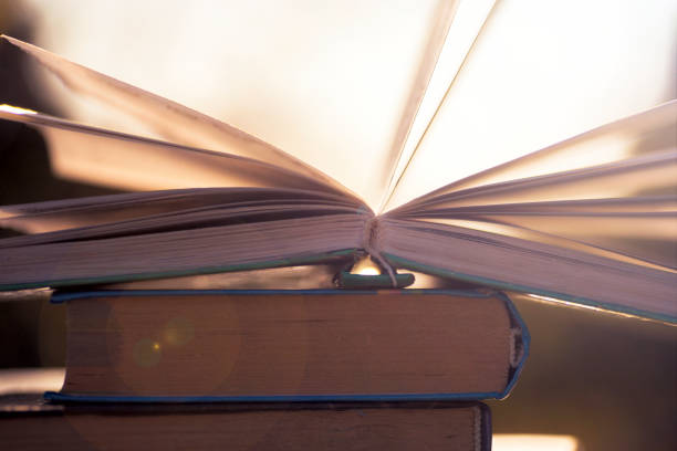 istock Open book on wooden table on natural background. Soft focus 666776068