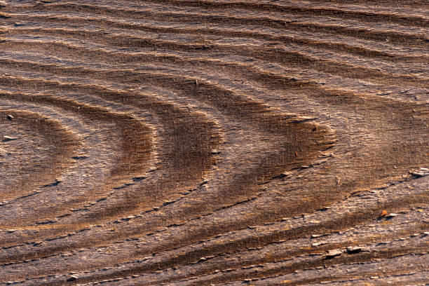 textura de fundo natural escura madeira. - knotted wood brown wood material - fotografias e filmes do acervo