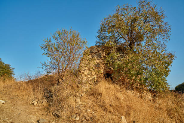 istock Benias park at north Israel 666788644