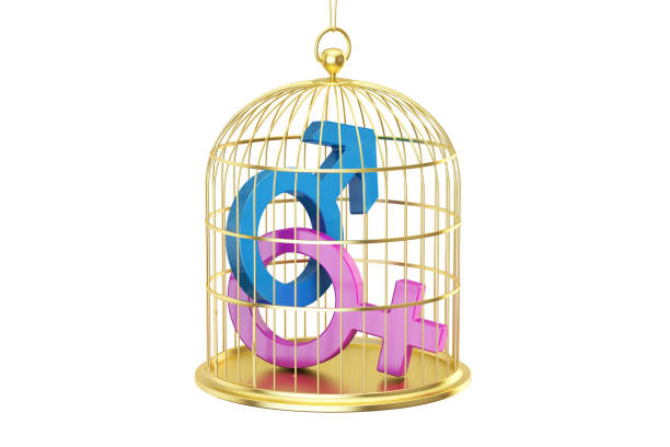 남성과 여성의 성별 기호, birdcage 3d 렌더링에 고립 된 흰색 배경 - women sign love trap stock illustrations