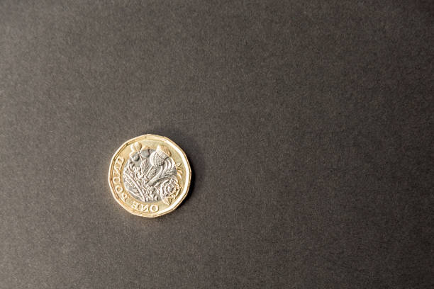 istock New british one sterling pound coin on dark background 666795800
