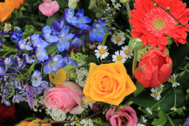 istock Colorful wedding flowers 666801788