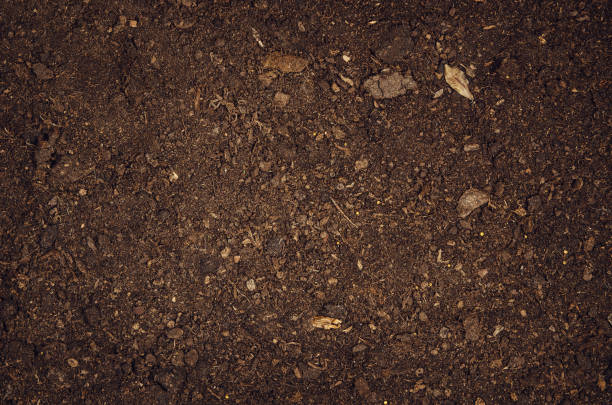 Fertile garden soil texture background top view Fertile soil texture background seen from above, top view. Gardening or planting concept with copy space. Natural pattern overcasting stock pictures, royalty-free photos & images