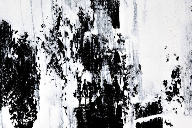 istock White oil paint brush strokes 666808288