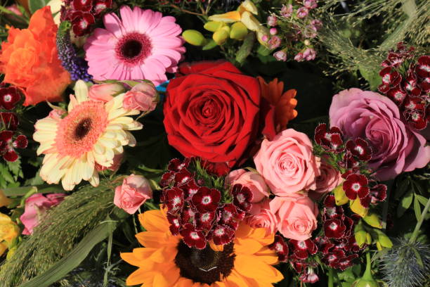 istock Colorful wedding flowers 666812074