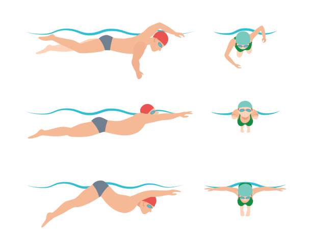 ilustraciones, imágenes clip art, dibujos animados e iconos de stock de ilustración de vector de estilo esquema nadadores diferentes hombre y mujer de natación en piscina deporte ejercicio - braza