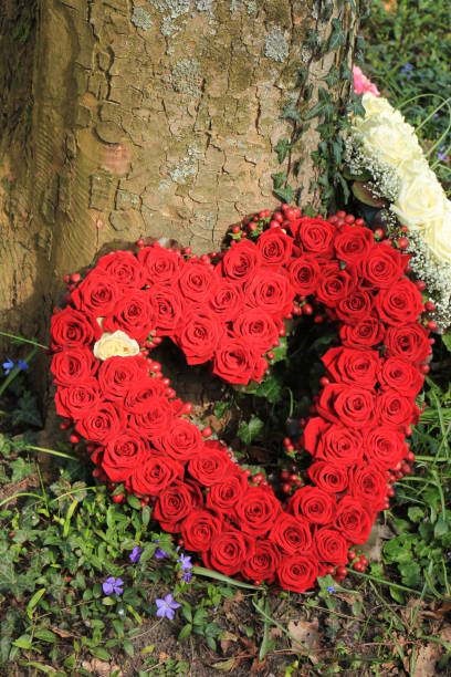 istock Sympathy flowers near a tree 666817060