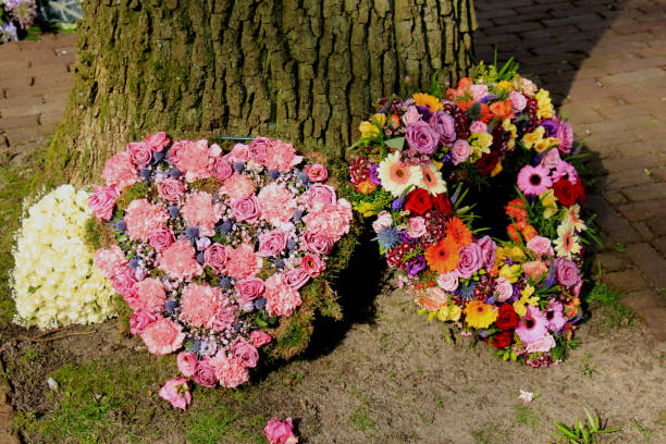 istock Sympathy flowers near a tree 666817134