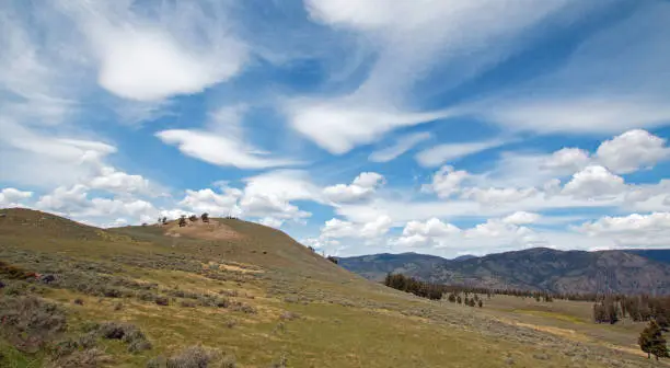 Photo of Rolling Hills under cirrus lenticular cloudscape in northern Yellowstone National Park in Wyoming USA