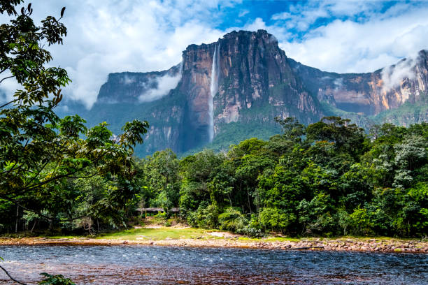 angel falls depuis la rive de la rivière - venezuela photos et images de collection