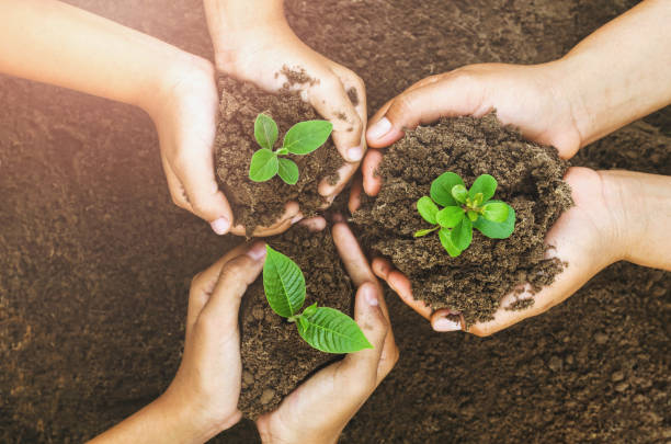 istock Growing concept eco Group hand  children planting together 666860208