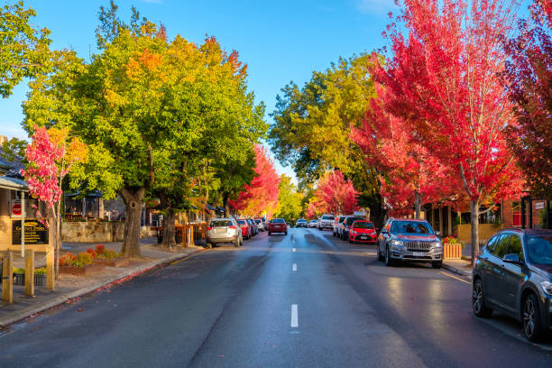 main street of hahndorf in autumn - history built structure australia building exterior imagens e fotografias de stock