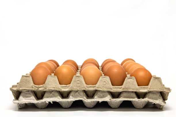 istock Carton of Eggs. 666863680