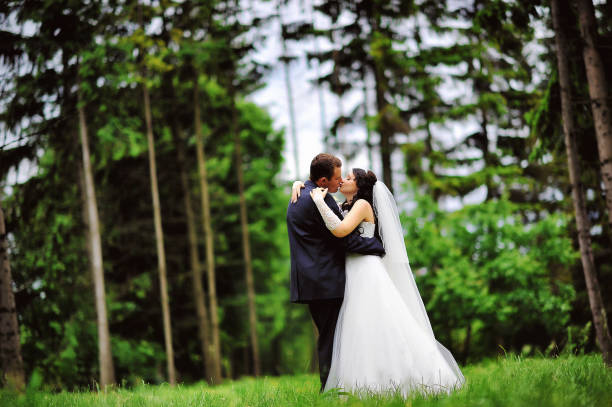 istock Wedding couple in pine forest 666882760