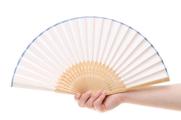 Hand holding folding fan Hand holding folding fan isolated on a white background hand fan stock pictures, royalty-free photos & images