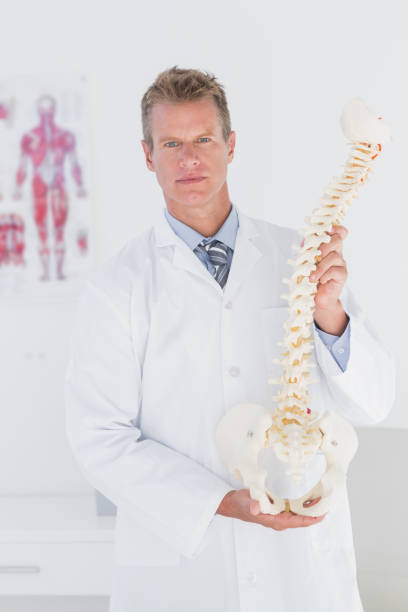 istock Serious doctor showing anatomical spine 666885048