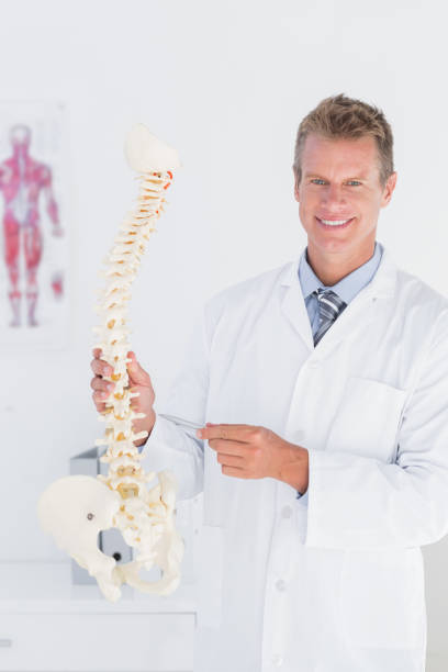 istock Happy doctor showing anatomical spine 666887070