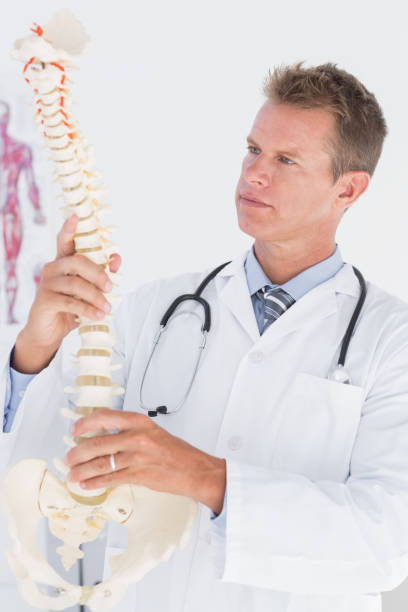 istock Doctor holding an anatomical spine 666887170