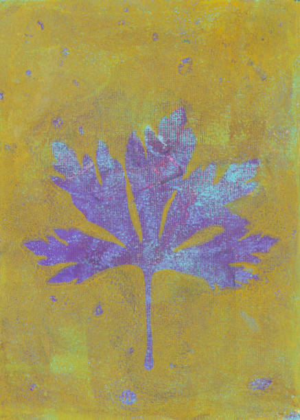 illustrazioni stock, clip art, cartoni animati e icone di tendenza di foglia stampata in giallo e lavanda viola su carta - backgrounds etching yellow paper