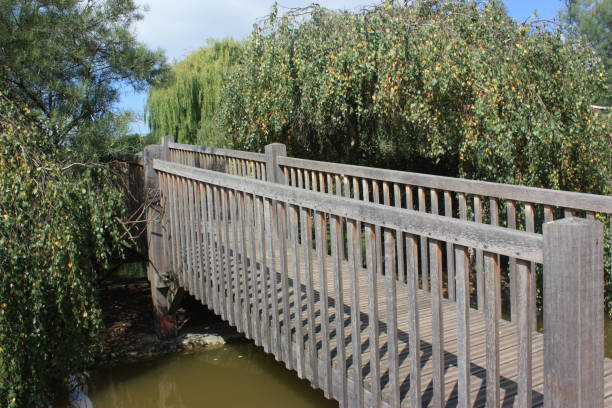 istock Exotic wooden walkway - Public park 666887346