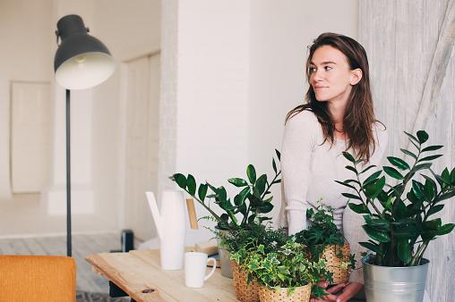 young woman watering flowerpots at home. Casual lifestyle series in modern scandinavian interior