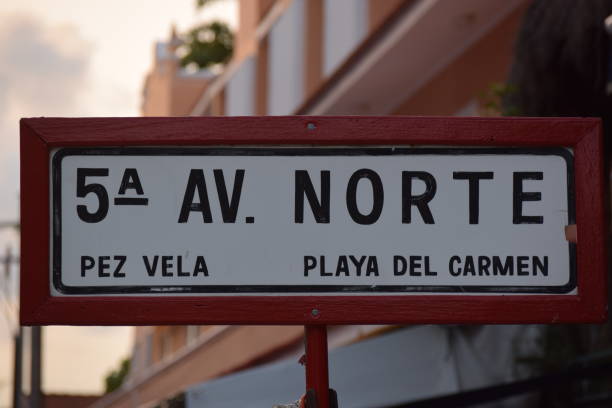 5th Ave. Street sign in Playa Del Carmen playa del carmen stock pictures, royalty-free photos & images