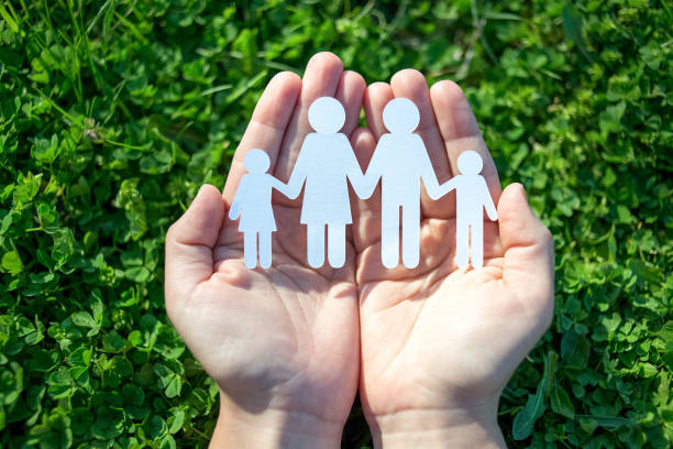 istock Paper family in two hands on green grass background 666898052