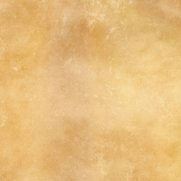 istock Grunge yellowed paper background. 666901864