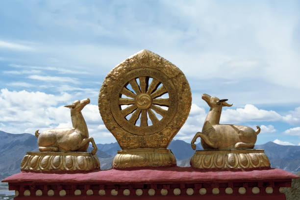 dharmachakra sul tetto del monastero di drepung. - tibetan buddhism wind tibet horizontal foto e immagini stock