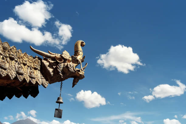 drago dorato sul tetto del tempio jokhang. - tibetan buddhism wind tibet horizontal foto e immagini stock