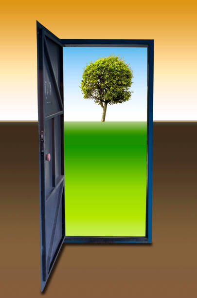 istock The door is clean 666907762