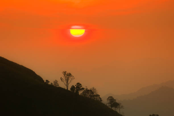 Sunset in mountains,Tree silhouette with scenic sunset sun over colorful sky background.