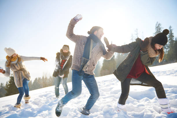 istock Snowfight on the sunny day 666909130