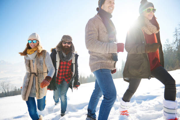 istock Friends spending winter holiday in the mountain 666912148