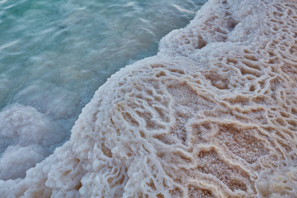 istock Dead sea salty water with white salt in it 666923544