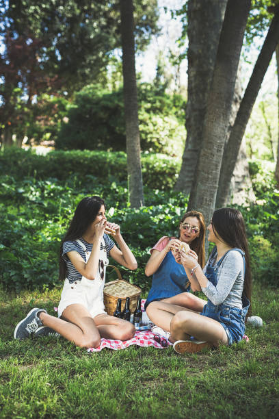 istock Three Beautiful Young Women Friends 666926932