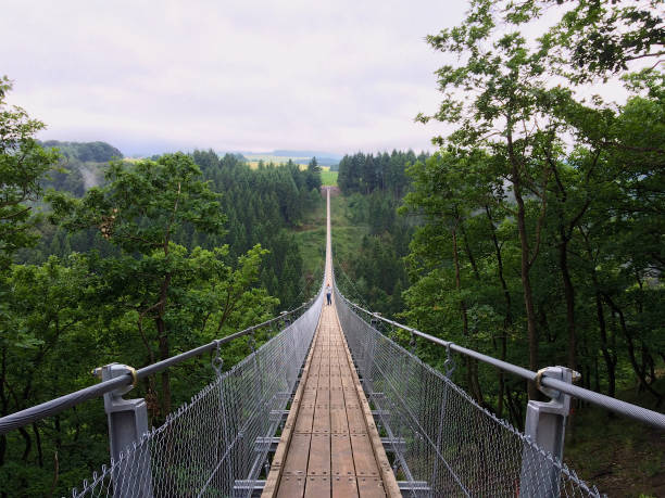Geierlay suspension bridge Geierlay suspension bridge from south to north with a man taking pictures narrow stock pictures, royalty-free photos & images