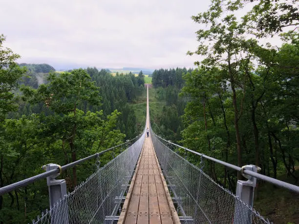 Photo of Geierlay suspension bridge