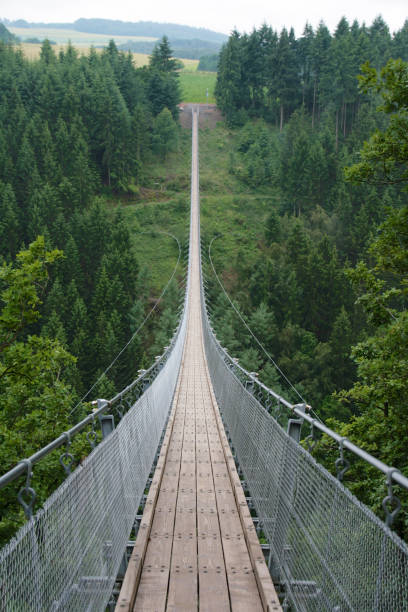 istock Geierlay suspension bridge 666943402