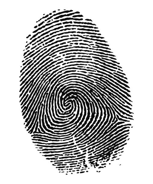 Fingerprint in Black and White Fingerprint, Thumbprint, Biometrics, Pattern, Ink human finger stock pictures, royalty-free photos & images