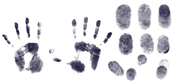 손가락 및 흑인과 백인 handsprint - fingerprint thumbprint biometrics human thumb 뉴스 사진 이미지