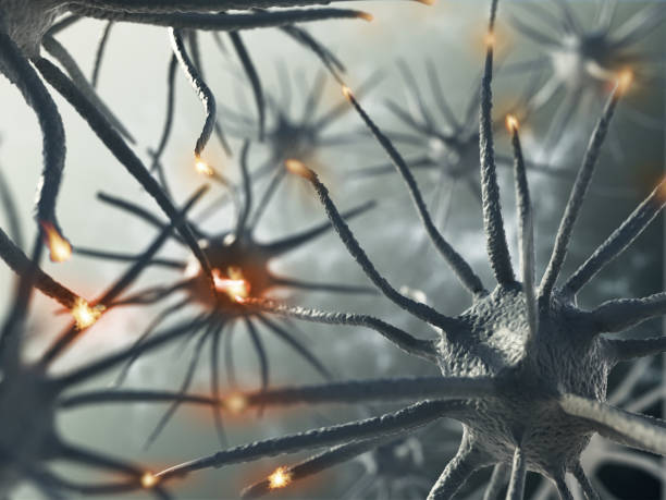 脳のニューロン間の相互作用を表す 3 d レンダリング - activity axon biology biomedical illustration点のイラスト素材／クリップアート素材／マンガ素材／アイコン素材