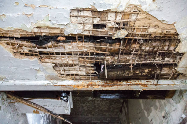 istock Room in a ruined house 666963954