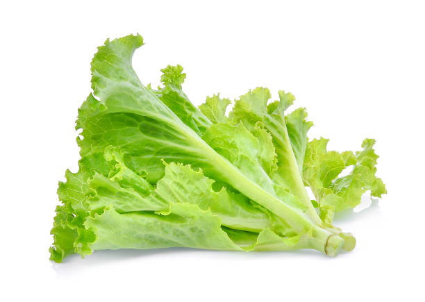 istock fresh green lettuce salad leaves isolated on white background. 666964108